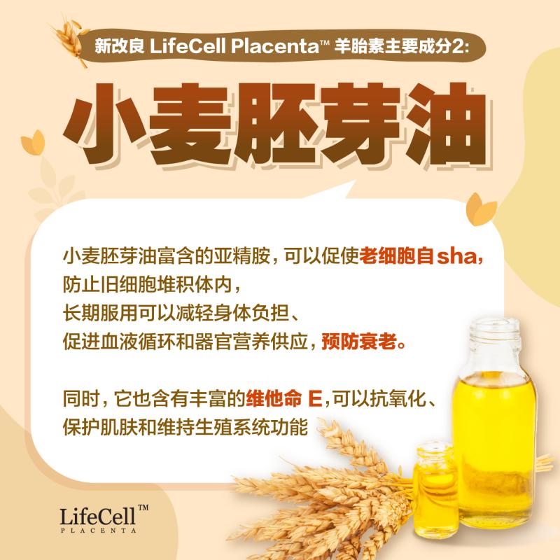 (D) LifeCell Placenta Buy 3 Bottles 買3罐 LifeCell羊胎素 (+Free VVIP Program + Welcome Gift 免费VVIP会员籍+欢迎礼) 💥